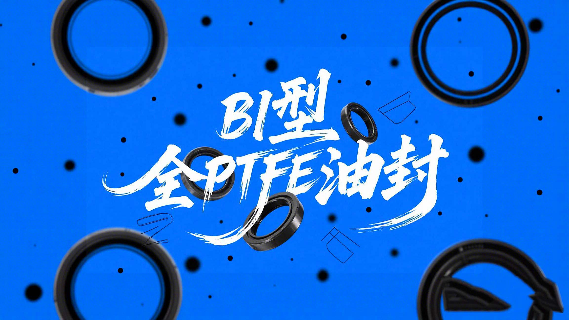 广州大三巴厂家腐蚀性介质B1型全PTFE油封的材料到底好在哪